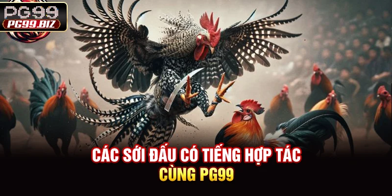 Các sới đấu có tiếng hợp tác cùng PG99