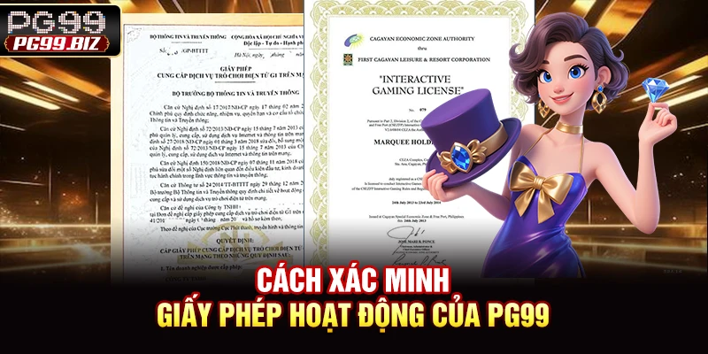 Cách xác minh giấy phép hoạt động của PG99